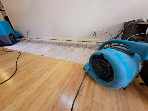 Professional Ceiling Water Damage Repair technician working in Conway, WA